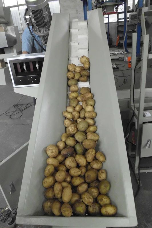 Özel Patates Paketleme Makinesi Mobil Paketleme Tesisi 2.5KW